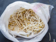 Mẹo hay nhà bếp - Mua giá đỗ về để hay bị thâm đen nát ủng, đầu bếp mách chiêu 5 ngày không hỏng