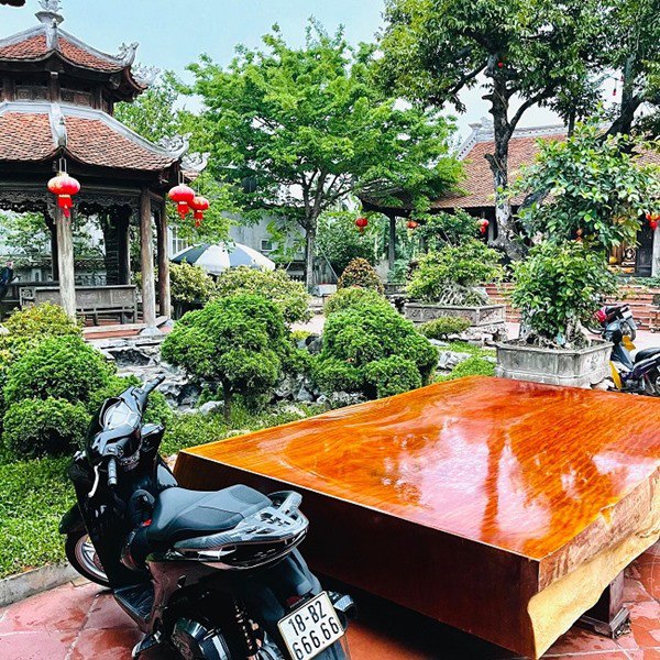amp;#34;Biệt phủamp;#34; 1.700m2 toàn gỗ quý và dàn cây cảnh tiền tỷ ở Nam Định - 10