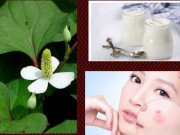 Làm đẹp - 7 Cách trị mụn bằng rau diếp cá hiệu quả giúp da thêm sáng mịn hồng hào