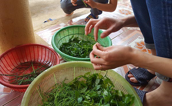 Nữ doanh nhân bị giun não dù ăn uống sạch, chuyên gia cảnh báo nhặt rau cũng có thể nhiễm - 3