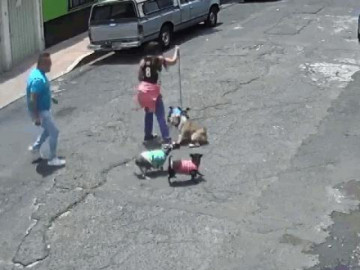  Clip: Chó cắn nhau, người đàn ông tức tối xô người phụ nữ ngã sấp mặt 