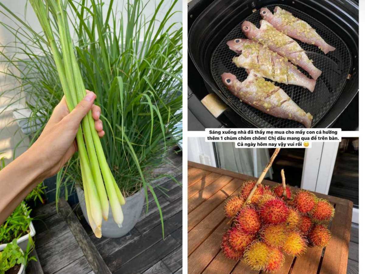 Cưới chồng là con trai tỷ phú, Tăng Thanh Hà vẫn được bố mẹ ruột gửi đồ ăn tận nhà - 2