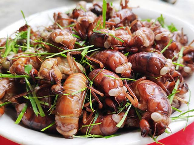 Thứ chỉ có vào mùa hè trở thành đặc sản, giá nửa triệu/kg vẫn được nhiều người tìm mua