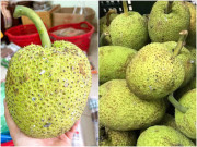 Tiêu dùng - Quả lạ lẫm của miền Tây tràn ra Hà Nội, nhìn lần đầu 90% người xem nhầm với quả mít