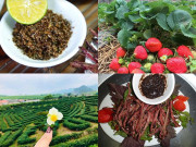 Xem ăn chơi - 5 đặc sản ngon mê ly nhất định phải mua về làm quà khi tới Mộc Châu