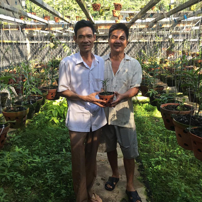 Nghệ nhân Hoàng Văn Trung hạnh phúc mỗi ngày với niềm đam mê phong lan - 2