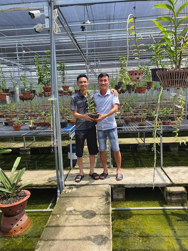 Nghệ nhân Hoàng Văn Trung hạnh phúc mỗi ngày với niềm đam mê phong lan - 4