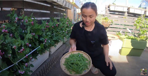 Mua được nhà mới bên Nhật, vlogger Quỳnh Trần JP khoe vườn rau, hoa trái mùa hè - 10