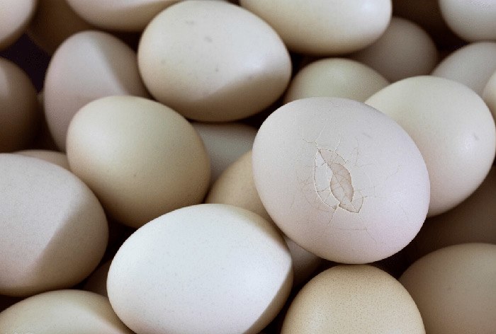 Mua trứng, thấy 4 dấu hiệu này nên tránh xa, vừa hại sức khỏe lại tốn tiền - 1