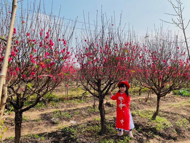 MC Diễm Quỳnh bất chấp gian nan sinh con ở tuổi U50, amp;#34;công chúa nhỏamp;#34; giờ xinh xắn, nụ cười tỏa nắng - 6