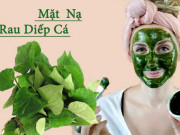Làm đẹp - 8 Cách làm mặt nạ diếp cá giúp trị mụn, nám hiệu quả tại nhà