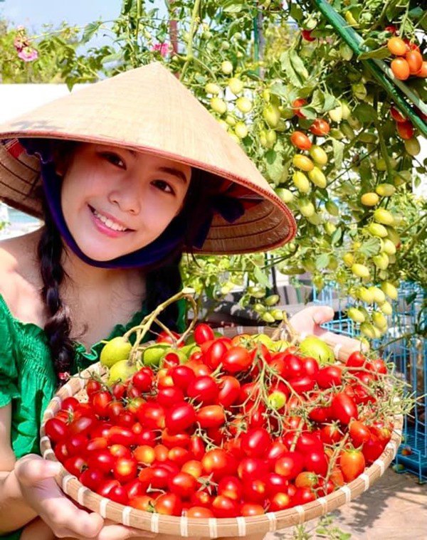 Nhà Celeb: Vợ Quyền Linh bỏ hạt cà chua siêu thị xuống đất, con gái giờ thu hoạch cả mẹt - 3