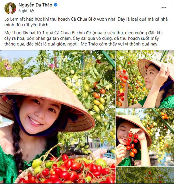 Nhà Celeb: Vợ Quyền Linh bỏ hạt cà chua siêu thị xuống đất, con gái giờ thu hoạch cả mẹt - 1
