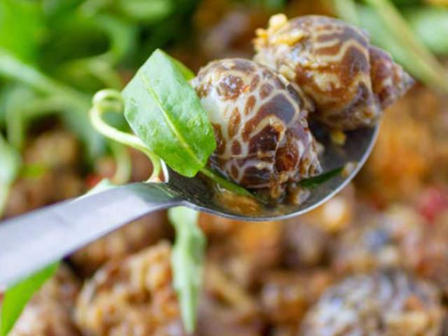 Cách làm ốc hương xào bơ tỏi thơm ngon giàu dinh dưỡng