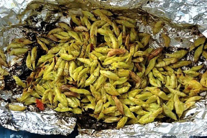 4 thứ béo nhung nhúc, nhìn rất kinh dị trở thành đặc sản khiến nhiều người sởn gai ốc - 1