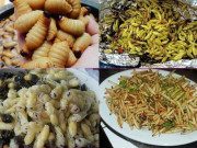 Xem ăn chơi - 4 thứ béo nhung nhúc, nhìn rất kinh dị trở thành đặc sản khiến nhiều người sởn gai ốc