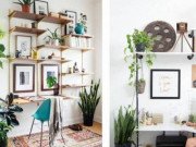 Nhà đẹp - Cách bố trí cây cảnh trong nhà hợp phong thủy, giúp gia chủ luôn thịnh vượng