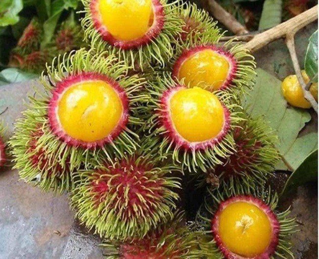 Bất ngờ xuất hiện loại chôm chôm amp;#34;lạamp;#34;, chị em tò mò amp;#34;tới tấpamp;#34; đặt mua - 4