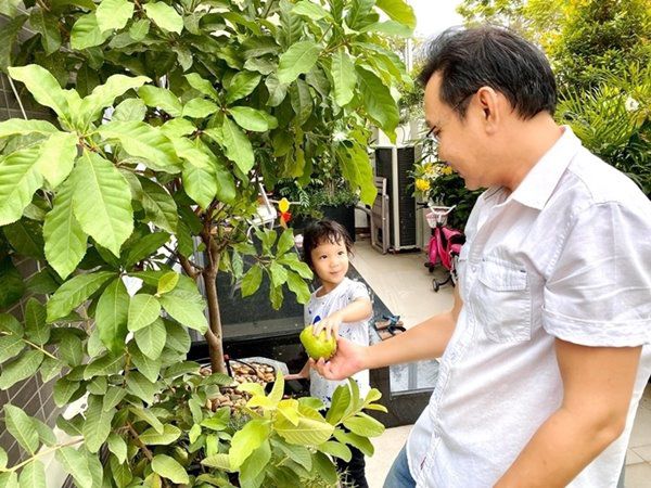 Nhà Celeb: Ông xã đại gia tự tay chăm vườn, Á hậu Trịnh Kim Chi tự hào khoe thành quả - 7