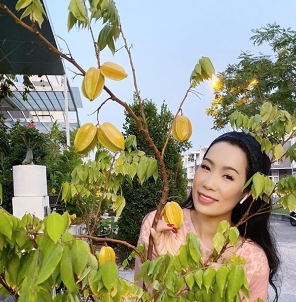 Nhà Celeb: Ông xã đại gia tự tay chăm vườn, Á hậu Trịnh Kim Chi tự hào khoe thành quả - 6