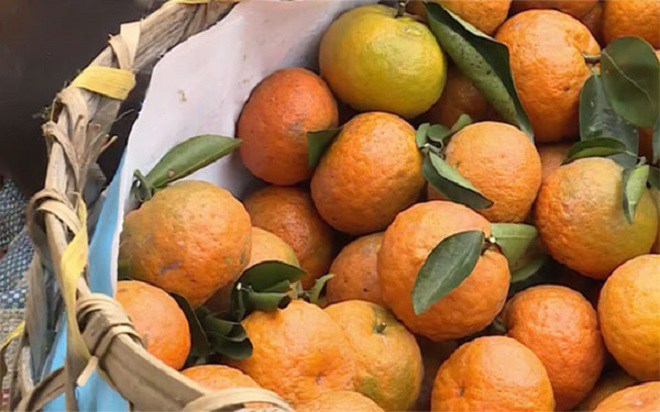 7 đặc sản nổi tiếng Hà Giang, du khách nhất định phải thưởng thức không sẽ hối hận - 5