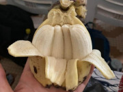 Eva tám - Không phải ai cũng may mắn được nhìn thấy 19 bức ảnh độc đáo này