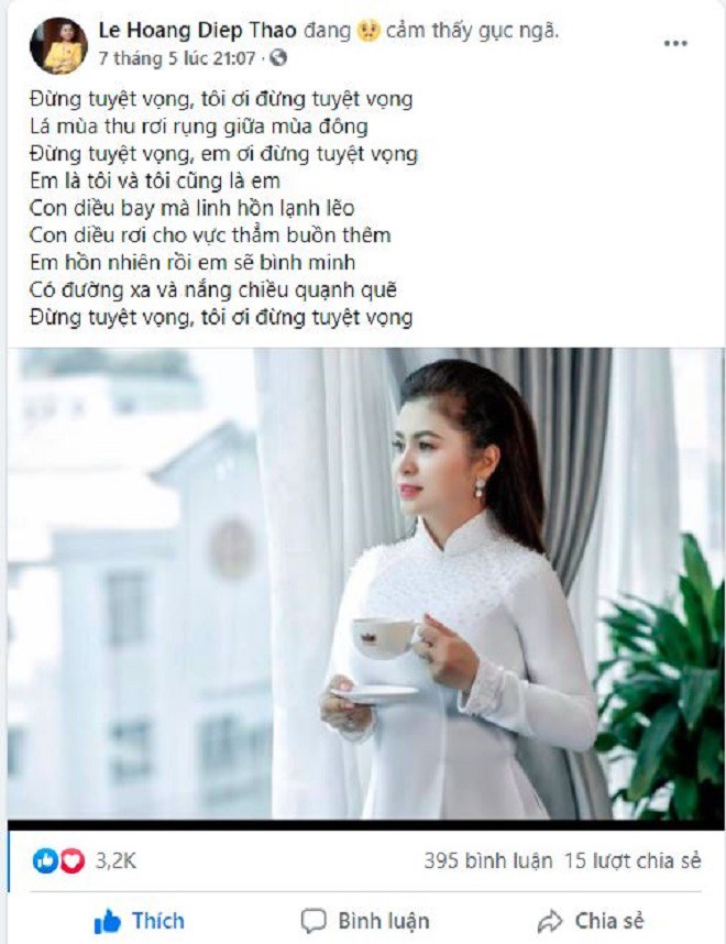Sau khi gục ngã vì ly hôn, bà Lê Hoàng Diệp Thảo: amp;#34;Mình sẽ không bỏ cuộc vì chính nghĩaamp;#34; - 2