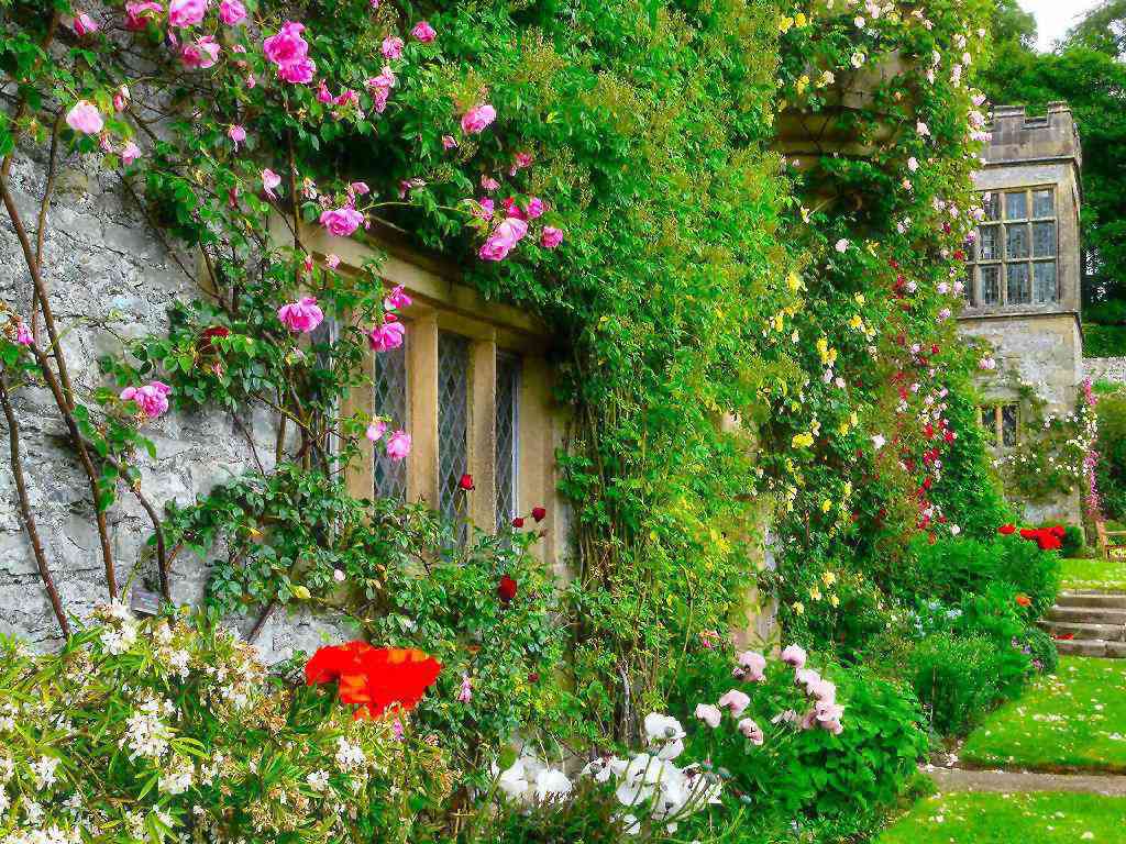 Những ngôi nhà phủ đầy hoa hồng khiến ai nhìn cũng mê - 6