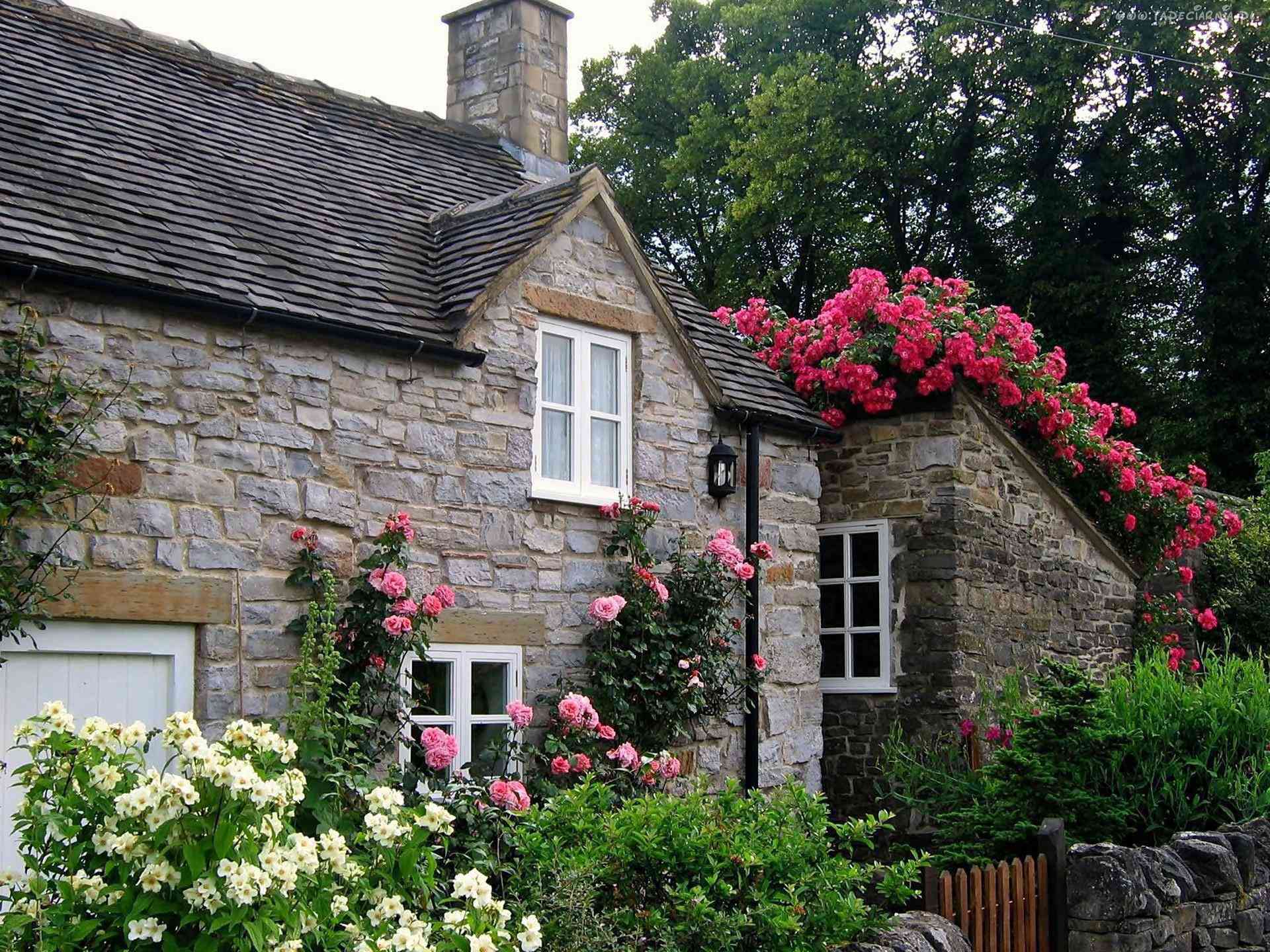 Những ngôi nhà phủ đầy hoa hồng khiến ai nhìn cũng mê - 8