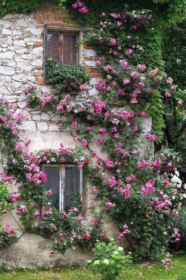 Những ngôi nhà phủ đầy hoa hồng khiến ai nhìn cũng mê - 14