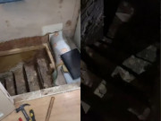Tin tức - Cạy tấm lót dưới tủ đựng đồ lên, người phụ nữ phát hiện cảnh tượng như phim kinh dị