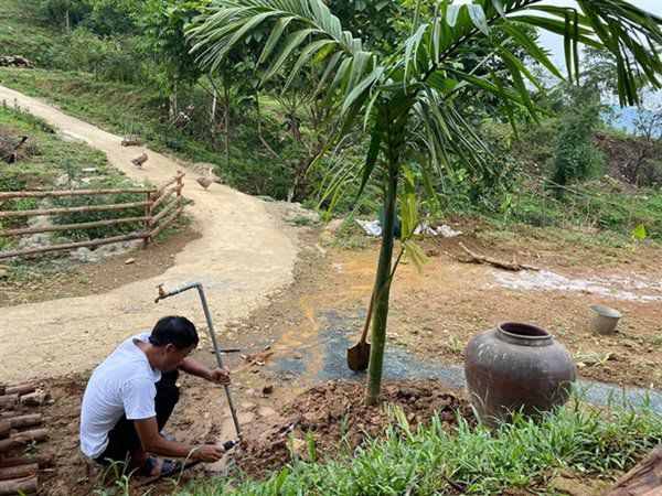 Nhà Celeb: NSƯT Việt Hoàn mua 10.000m2 đất để dựng nhà tranh, trong vườn toàn hoa cỏ - 3