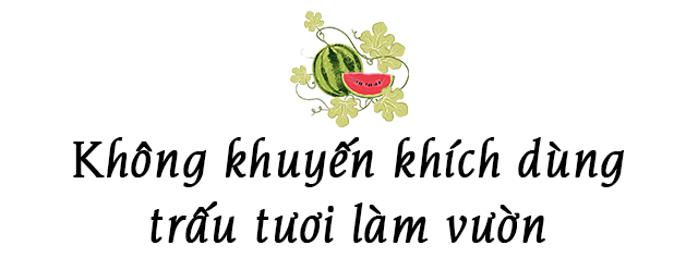 Ông bố Phú Thọ làm vườn sân thượng theo bí quyết riêng, rau quả xanh tốt quanh năm - 4