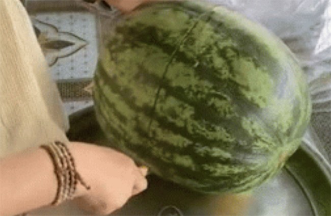 Hào hứng bổ quả dưa nặng 10kg, cô gái amp;#34;giật nảy mìnhamp;#34; khi nhìn thấy bên trong, dân mạng lại amp;#34;nổi điênamp;#34; vì điểm này - 1