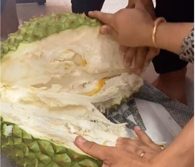 Tin tức 24h: 3 người bổ sầu riêng 8kg, nhìn thấy bên trong thì ai nấy đều amp;#34;sốc tận ócamp;#34; - 2