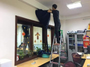 Tin tức - Bất chấp dịch Covid-19 bùng phát, nghề này vẫn làm không hết việc, kiếm tiền triệu mỗi ngày