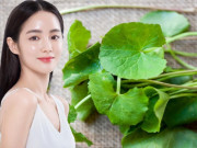 Làm đẹp - Không lo thâm mụn với top 5 công thức mặt nạ trị mụn rau má an toàn, lành tính