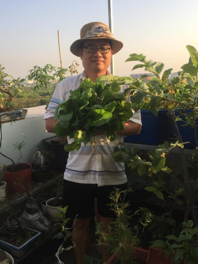 Thầy giáo Sài Gòn trồng rau, nuôi cá trên sân thượng 10m2, vốn 20 triệu giờ ăn không hết - 3