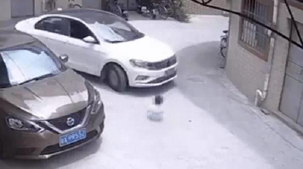 Bé gái ngồi giữa đường bị xe tông suýt chết, sự tình xảy ra trước đó khiến người người phẫn nộ - 1