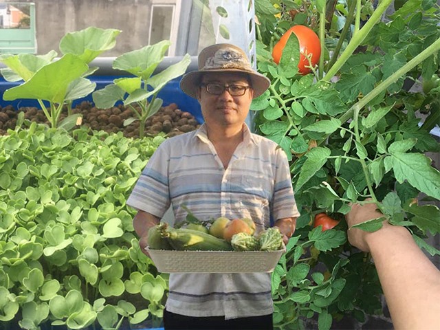 Thầy giáo Sài Gòn trồng rau, nuôi cá trên sân thượng 10m2, vốn 20 triệu giờ ăn không hết