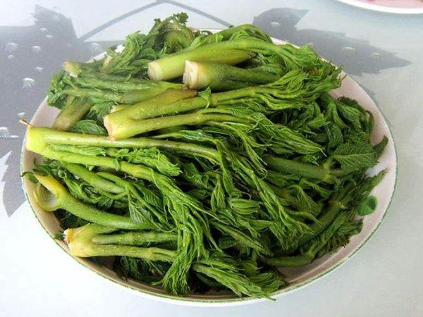 Từng là amp;#34;rau cứu đóiamp;#34; của Trung Quốc nay được mệnh danh là “báu vật trên núi” - 4