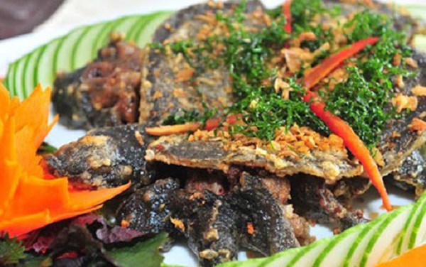 Sau bữa tối ăn thịt ba ba, thai phụ 25 tuổi mang thai 37 tuần nhập viện cấp cứu gấp  - 2