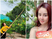 Nhà đẹp - Nhà Celeb: Vy Oanh khoe khu vườn ngập cây trong biệt thự 1400m2, trái nhiều ăn không kịp