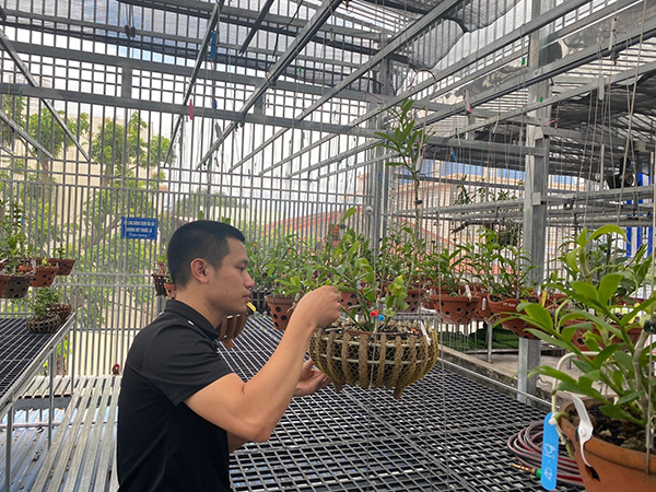 Nghệ nhân Phan Tiến: Đam mê hoa lan giúp tôi trưởng thành hơn trong cuộc sống - 3