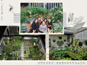 Ông bố Hà Nội huy động cả nhà bê đất lên sân thượng, bội thu cả tạ rau quả