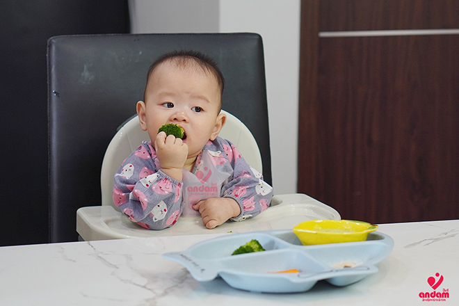 Ăn Dặm 3in1 – Phương pháp ăn dặm kết hợp toàn diện cho trẻ nhỏ - 2