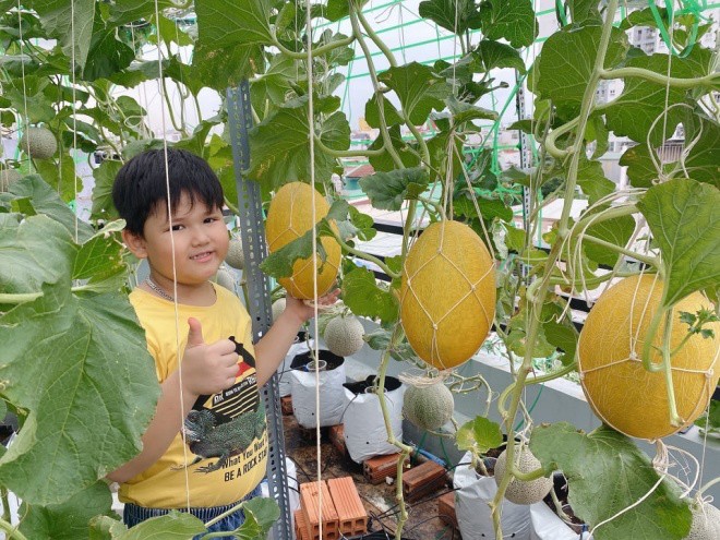 Bầu bí 7 tháng, mẹ Sài Gòn vẫn còng lưng trồng rau sân thượng, thành quả ngoài mong đợi - 11