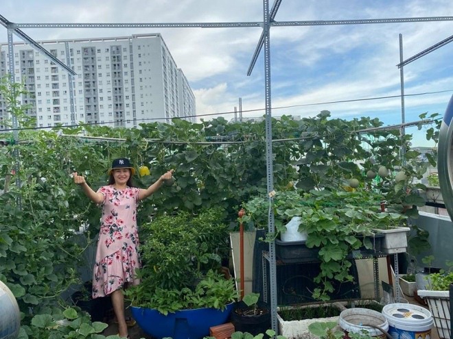 Bầu bí 7 tháng, mẹ Sài Gòn vẫn còng lưng trồng rau sân thượng, thành quả ngoài mong đợi - 5