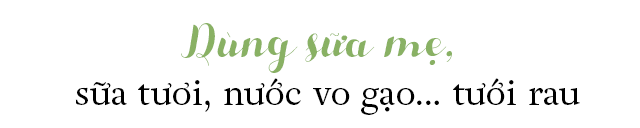 Bầu bí 7 tháng, mẹ Sài Gòn vẫn còng lưng trồng rau sân thượng, thành quả ngoài mong đợi - 12