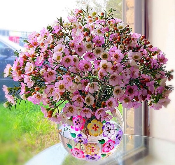 Ý nghĩa hoa Thanh Liễu, đặc điểm, cách trồng và cắm hoa sao cho bền lâu - 6